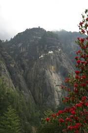 Tiger's Lair monastery, Bhutan.