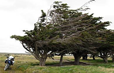 El Viento in Patagonia.