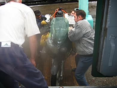 Getting the bike aboard the train to Moscow.