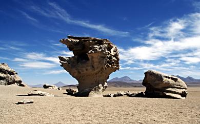 Wind-sculpted rock formations adorn the primitive desert landscape.