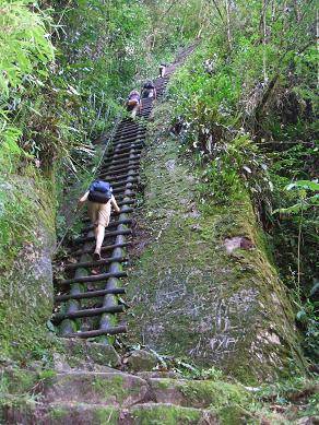 Climbing up to see Macchu Pichu.
