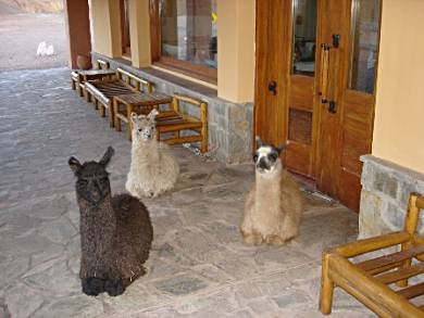 Fellow hotel guests.