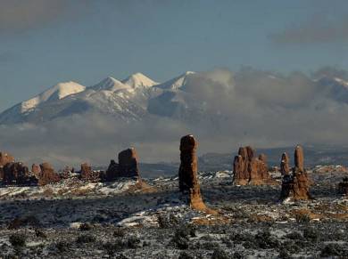 Eden's Garden, Arches National Park, Utah.