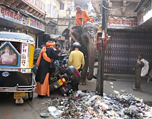 by Valerie Peponnet, of Pablo Alvarez, Spain; Losing balance in a messy Jodhpur street with elephant, sadhu and auto-rickshaw, Rakatanga Asia Tour; R850R.