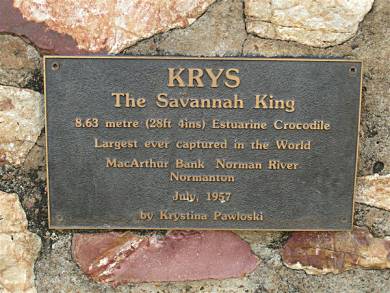 Krys crocodile, Australia.