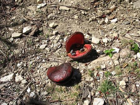 Interesting vegetation.