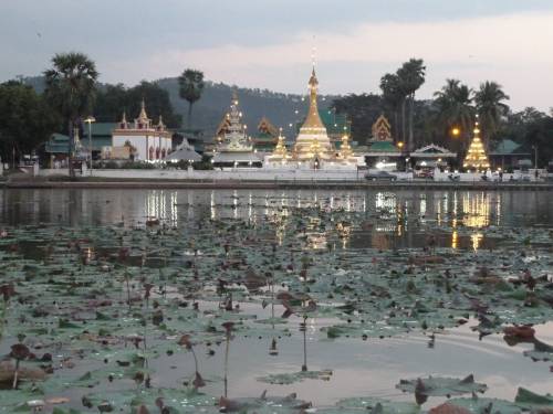 Wat Chong Kahm temple was across the lake from our guesthouse.