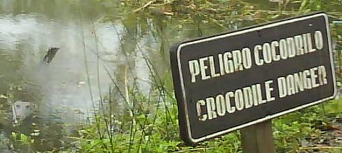 Tikal - crocodile warning