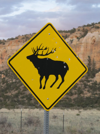 Moose road sign.