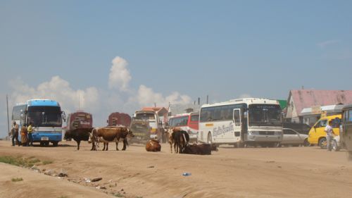 Mongolian Road.