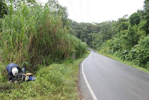 Bike crash in Costa Rica.