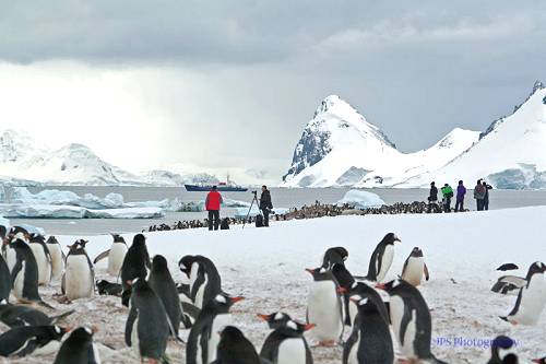 Curver Island, Antarctica.