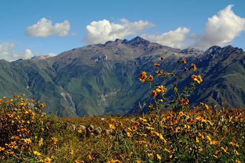 Colca Canyon, Peru.