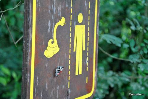 Road sign snakes, Argentina.