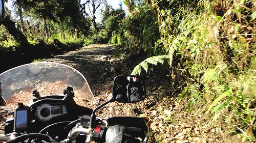 Slippery, muddy goat track.