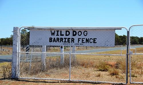 Wild dog barrier fence, Australia.