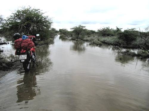 Water crossing on Kubu Island, Botswana.
