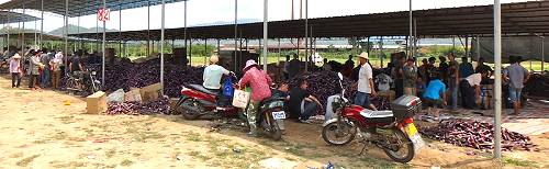 Hainan Island market.