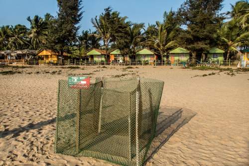 Sea turtle fence in Agonda, India.