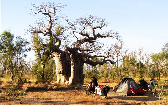 Bush Camping Australia