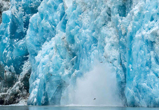 Calving glacier in Alaska.